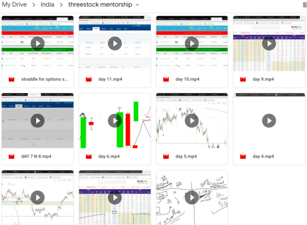 threestock mentorship Course-Premium - Image 2