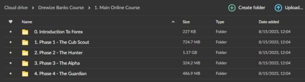 Drewize Banks Main Online Course - Image 3