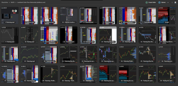 Landshark Order Flow Mentorship - Image 2