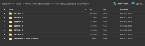 Piranha Profits – Forex Trading Course (Level 1: Pip Fisher & Level 2: Pip Netter) - Image 4