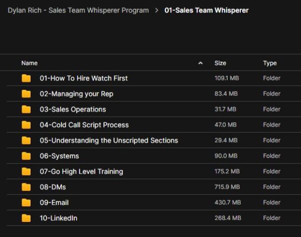 Dylan Rich – Sales Team Whisperer Program - Image 3