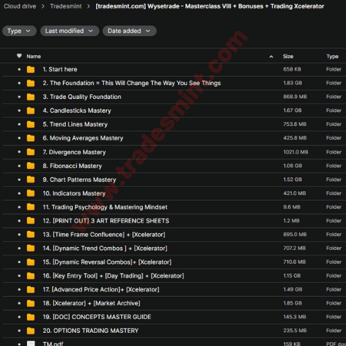 Wysetrade - Masterclass VIII + Bonuses + Trading Xcelerator 2 Wysetrade - Masterclass VIII + Bonuses + Trading Xcelerator - Image 2