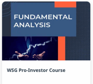 Wealth SaGa WSG Pro-Investor Fundamental Analysis Course