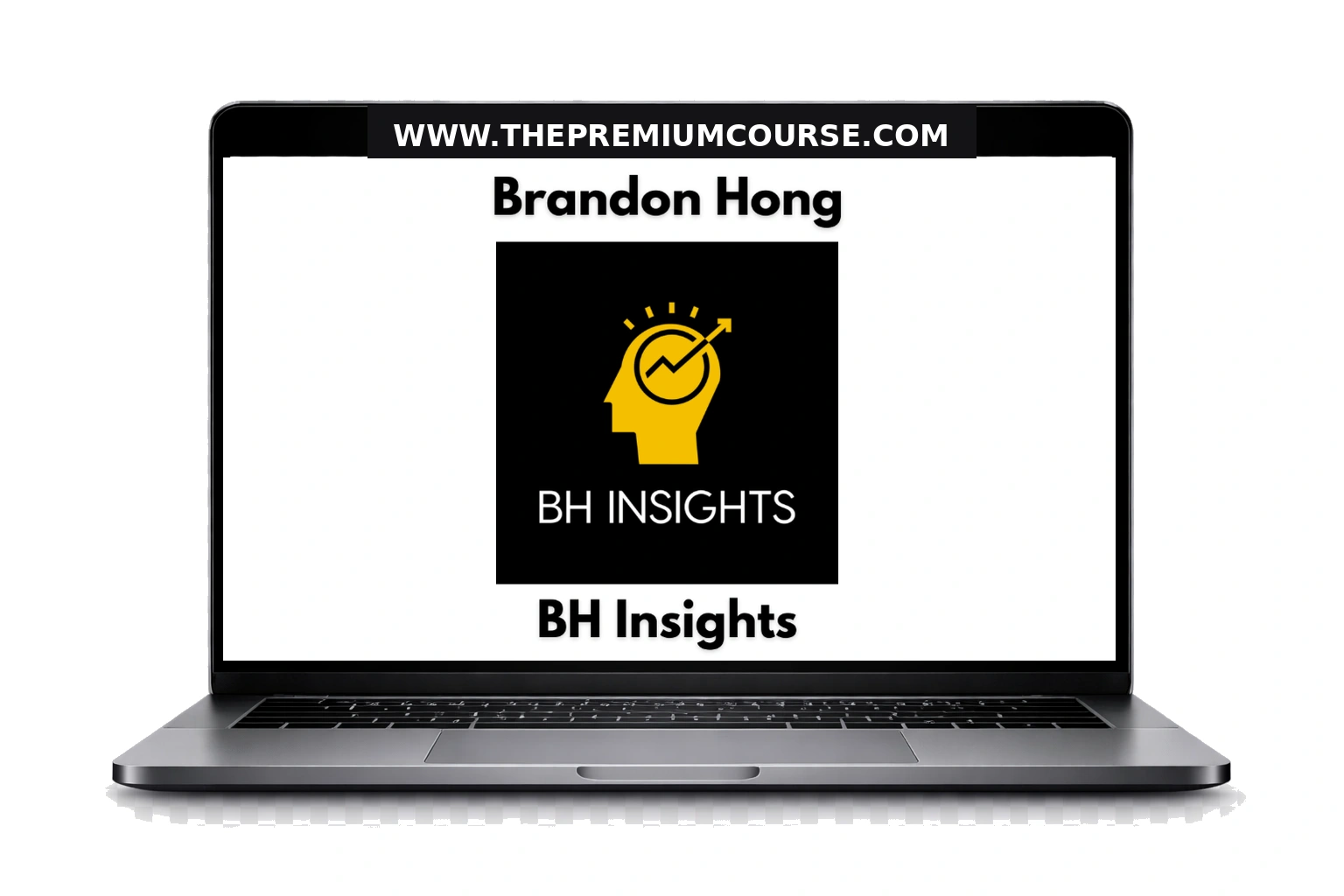 Brandon Hong: BH Insights Crypto Trading ( Discord Data ) – Course