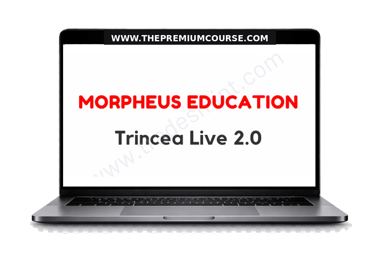 Morpheus Education - Trincea Live 2.0 1 Morpheus Education - Trincea Live 2.0
