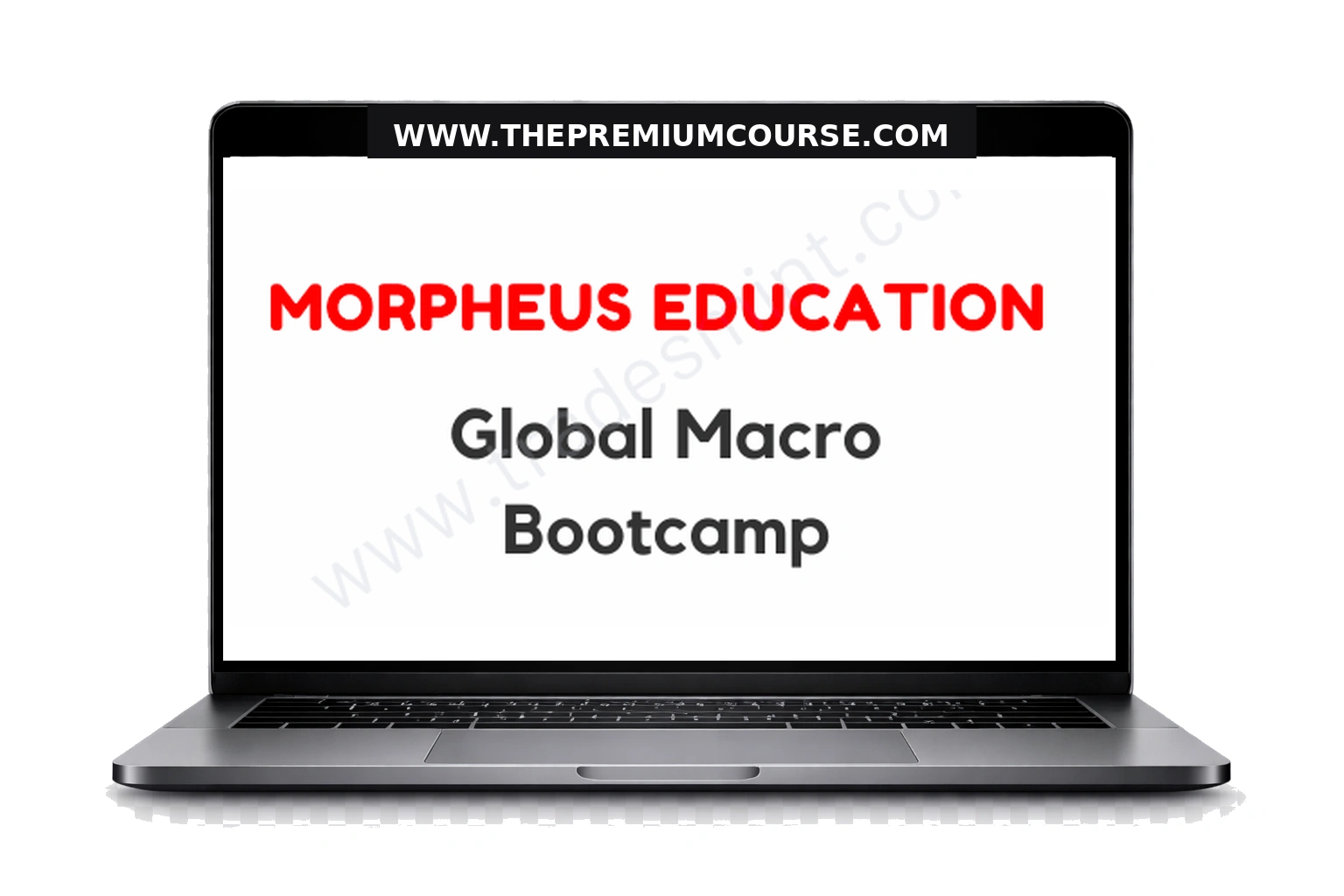 Morpheus Education - Global Macro Bootcamp 1 Morpheus Education - Global Macro Bootcamp