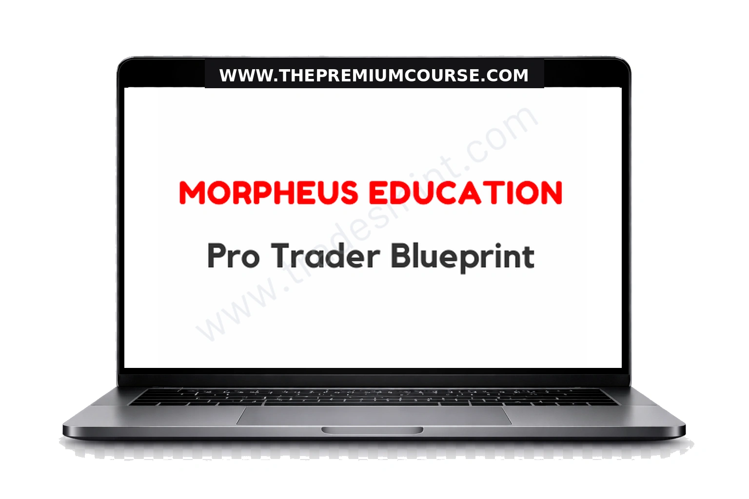 Morpheus Education - Pro Trader Blueprint 1 Morpheus Education - Pro Trader Blueprint