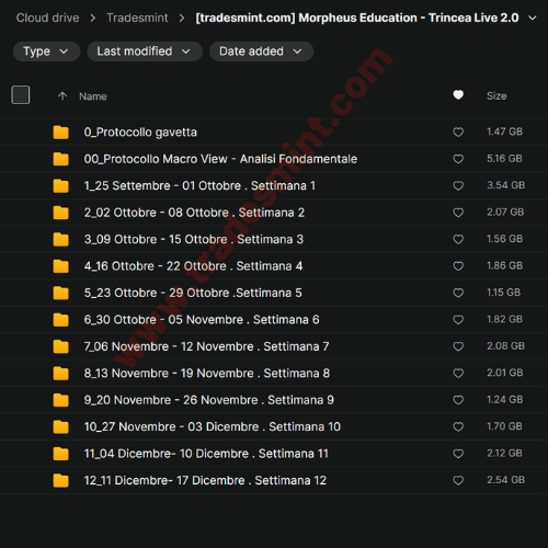 Morpheus Education - Trincea Live 2.0 2 Morpheus Education - Trincea Live 2.0 - Image 2