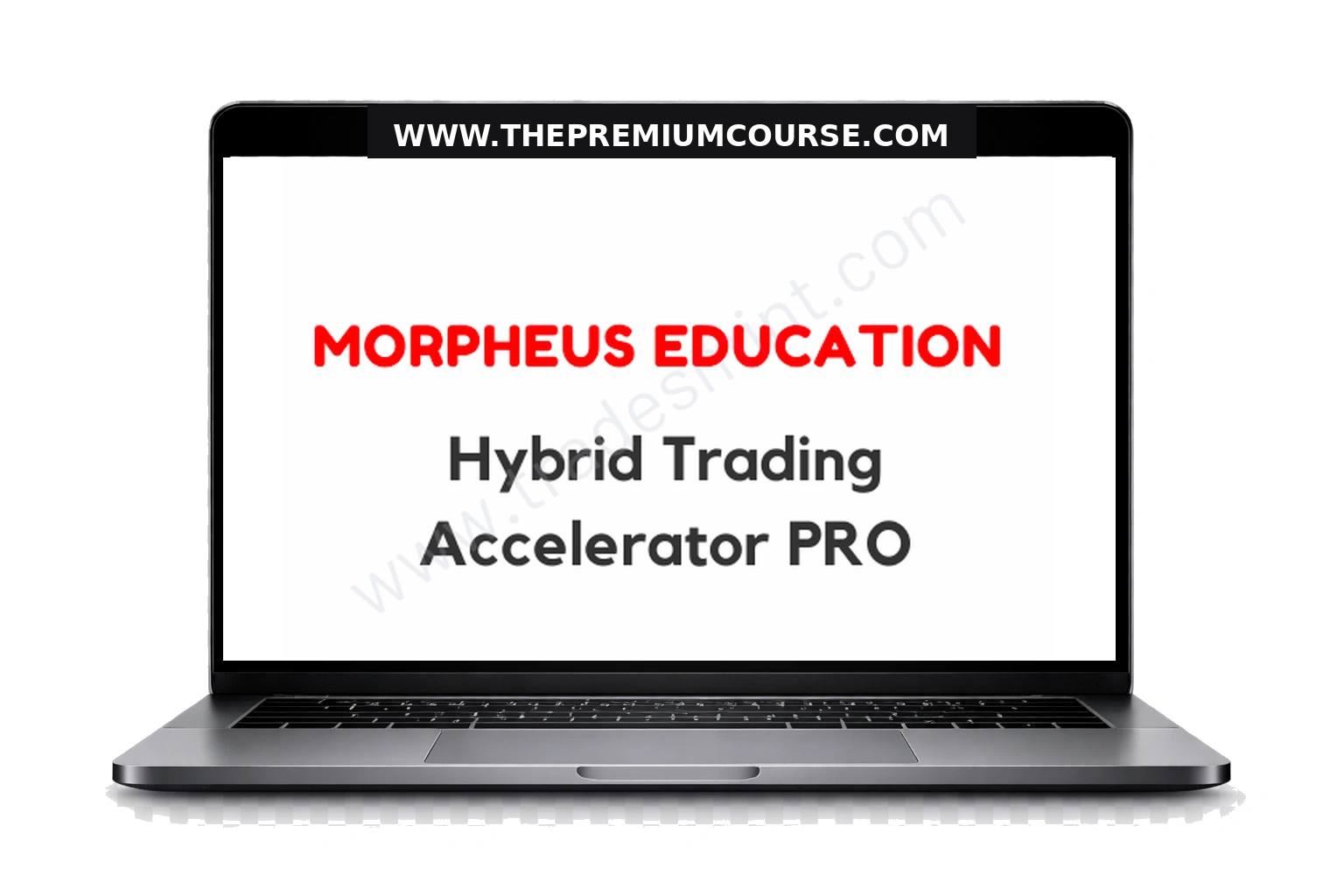 Morpheus Education - Hybrid Trading Accelerator PRO 1 Morpheus Education - Hybrid Trading Accelerator PRO