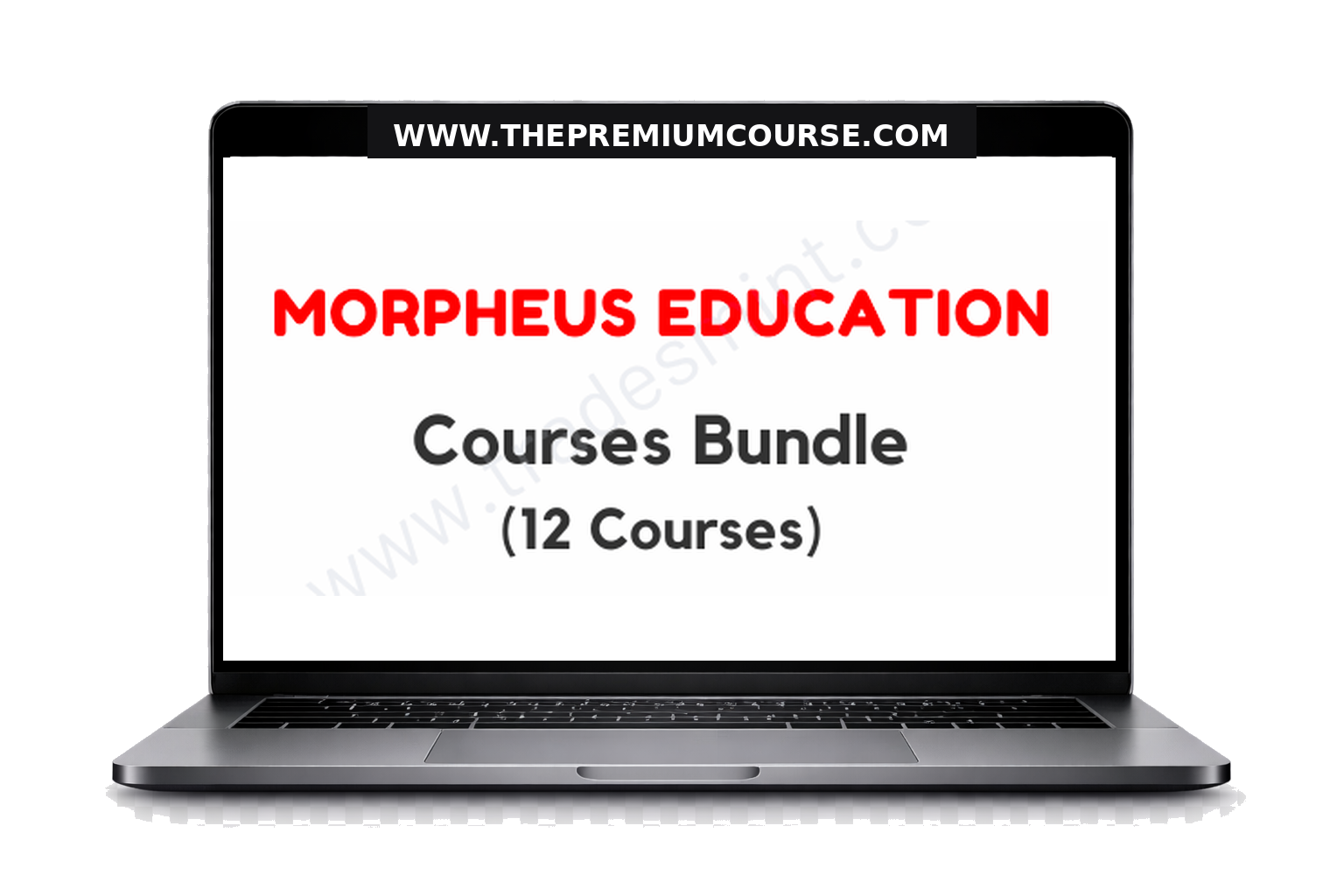Morpheus Education - Courses Bundle 1 Morpheus Education - Courses Bundle