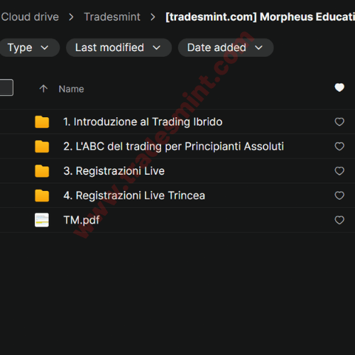 Morpheus Education - Hybrid Trading Accelerator PRO 2 Morpheus Education - Hybrid Trading Accelerator PRO - Image 2