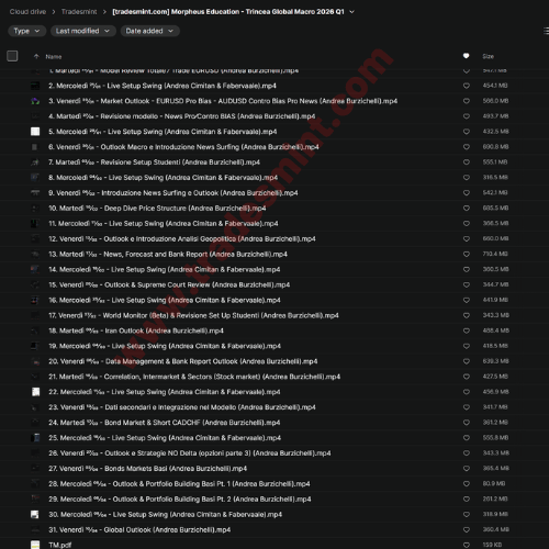 Morpheus Education - Trincea Global Macro 2026 Q1 2 Morpheus Education - Trincea Global Macro 2026 Q1 - Image 2
