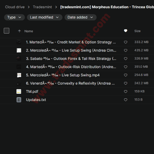 Morpheus Education - Trincea Global Macro 2026 Q2 2 Morpheus Education - Trincea Global Macro 2026 Q2 - Image 2