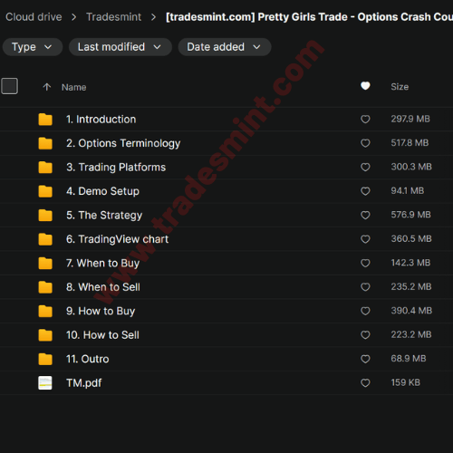 Pretty Girls Trade - Options Crash Course 2 Pretty Girls Trade - Options Crash Course - Image 2
