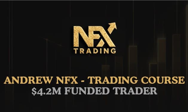 Andrew NFX – Trading Course