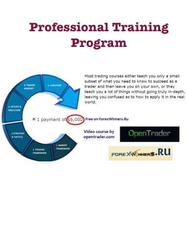 OpenTrader – Professional Training Program