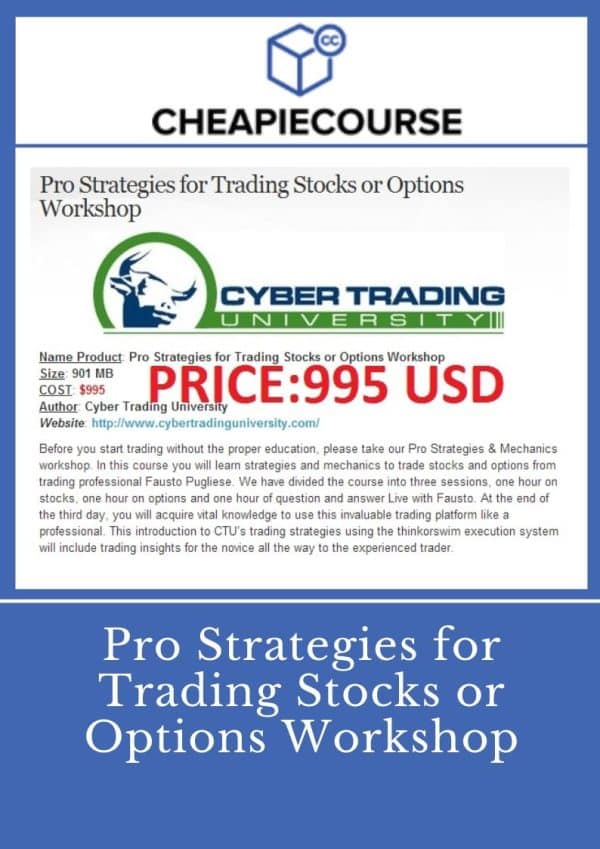Pro Strategies for Trading Stocks or Options Workshop