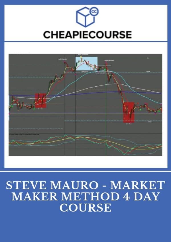 Steve Mauro – Market Maker Method – Day Course – Template And Indicators