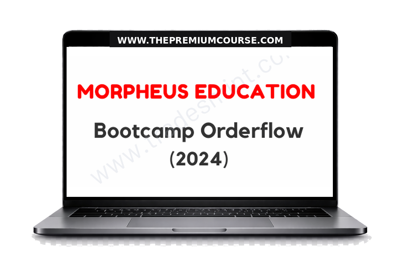 Morpheus Education - Bootcamp Orderflow 2024 1 Morpheus Education - Bootcamp Orderflow 2024